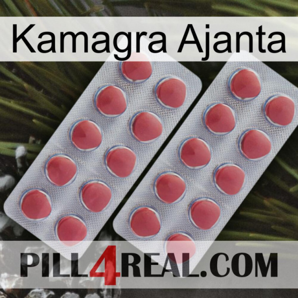 Kamagra Ajanta 19.jpg